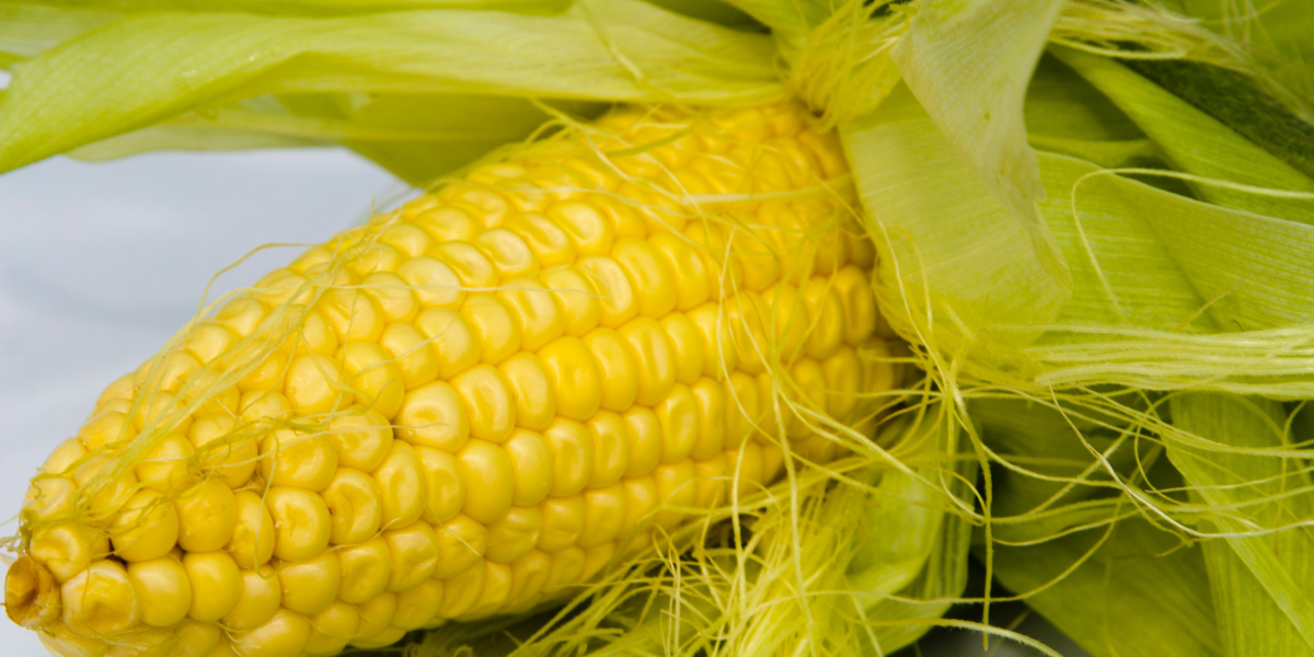 Sweetcorn